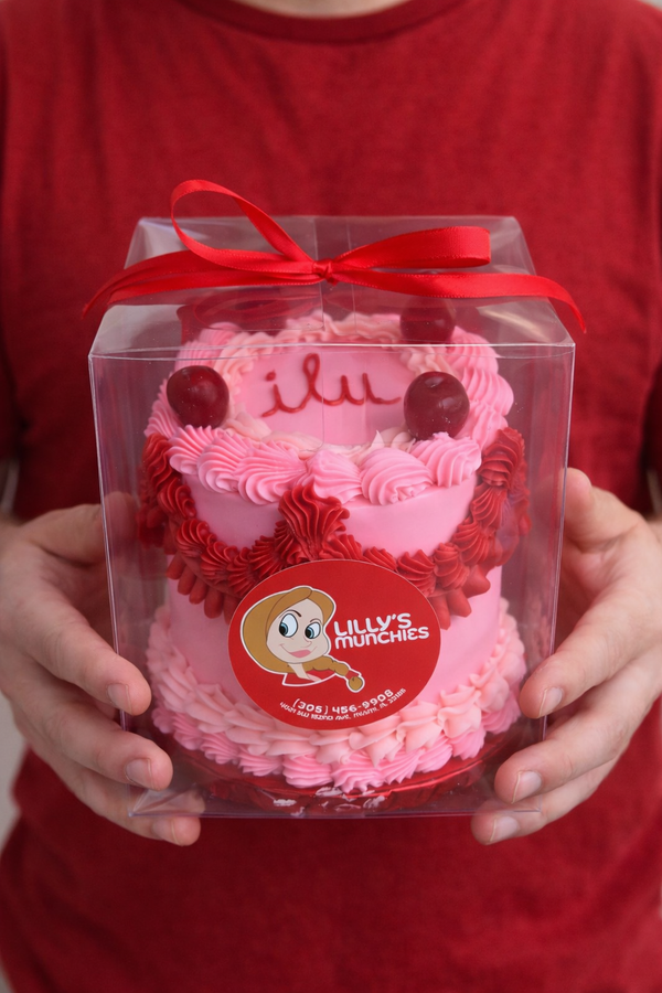 Valentine’s Day Mini Cake
